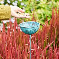 Paper High Iron Distressed Blue Rain Catcher | Size: Medium