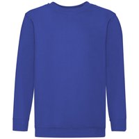 Fruit of the Loom Set In Sleeve Sweatshirt in Royal | Size: 5-6 Years
