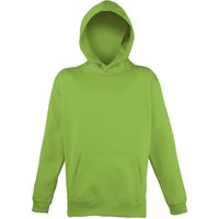 AWDis Electric Hooded Sweatshirt Hoodie in Green | Size: 9-10 Years