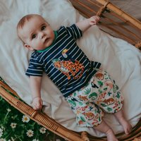 + Stripe T Shirt & Animals Shorts Set m