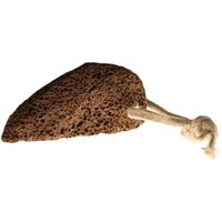 Volcanic Foot Stone Traditional Shape
