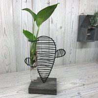 KDMD Hydroponic Home Decor - Cactus & Lab Pot in Black
