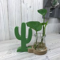 Hydroponic Home Decor Cactus Pot