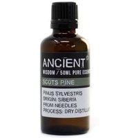 Pine Sylvestris