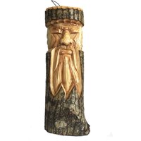 KDMD Old Man Tree 50x13x6cm in Brown | Size: 50 x 13 x 6 cm