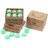 Box 6 Wax Melts Hidden Garden