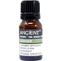 Ginger Essential Oil