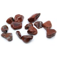 L Tumble Stones Petrified Wood