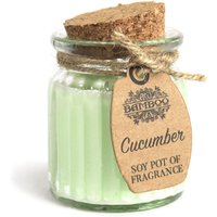 Cucumber Soy Pot Fragrance Candles