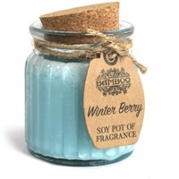 Winter Berry Soy Pot Fragrance Candles