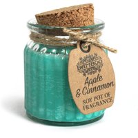 Apple & Cinnamon Soy Pot Fragrance Candles