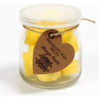 Soywax Melts Jar Mango Fruits