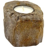 Petrified Wood Candle Holder Single Low