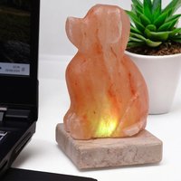 USB Dog Shaped (Multi) in Orange