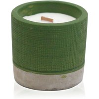 Pot Sea Moss & Herbs