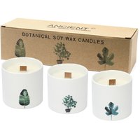 Large Botanical Candles Victorian Peony