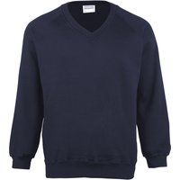 Coloursure V Neck Sweatshirt