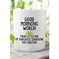 Find Me A Gift Good Morning World Sarcastic Mug