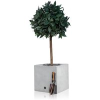 Primrose Fibreglass Cube Gloss Planter in Silver 50cm