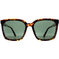 Square Shiny Turtle G15 Polarized MP67