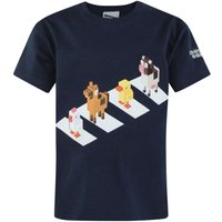 Crossy Road Boy's Kids Short Sleeved T-Shirt (Blue) in Blue | Size: 14-15 Years