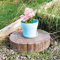 Plastic Plant Pot Weatherproof Colourful Home or Garden Planter Drainage Holes & Saucer