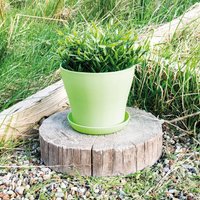 Plastic Plant Pot Weatherproof Colourful Home or Garden Planter Drainage Holes & Saucer
