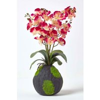 Phalaenopsis Artificial Orchid Natural Base 60 cm Tall