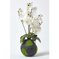 Phalaenopsis Artificial Orchid Natural Base 60 cm Tall