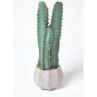Homescapes Hylcocereus Artificial Cactus In Decorative Textured Stone Pot in Green