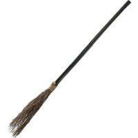I Witches Broom Stick Accessory Pack