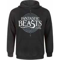 Fantastic Beasts And Where To Find Them Men's Hoodie | Black | Official Merch | Size: 2XL