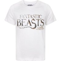 Fantastic Beasts And Where To Find Them Boy's Kids Short Sleeved T-Shirt (White) in White | Size: 7-8 Years