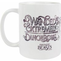Fantastic Beasts And Where To Find Them Standard Mug | White | Official Merch