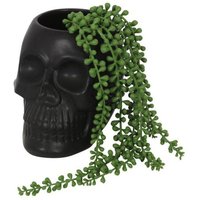KDMD Black Skull Plant Pot