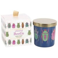 Beetle Candle