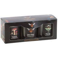 Dark Forest Votive Candle Trio
