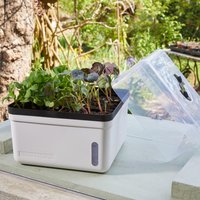 Perfect Propagator Self Watering Tray Seeds & Plants 23 x 23 cm
