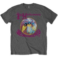 Jimi Hendrix Are You Experienced T-Shirt in Grey | Size: XL