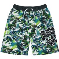 Jurassic World Boy's Kids Swim Shorts (Green) in Green | Size: 7-8 Years