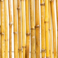 Primrose Thick Carbonised Caramel Bamboo Fencing Screening Roll W190cm x H180cm in Brown