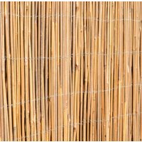 Papillon Bamboo Cane Screening Roll Natural Fencing 3.0m wide in None | Size: 2m tall x 3m wide