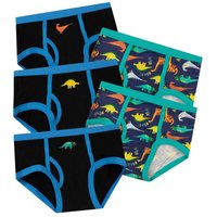 Dinosaur Underwear 5 Pack