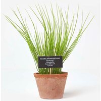 Homescapes Artificial Chive Plant in Decorative Pot in Terracotta