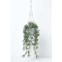 Homescapes Artificial Hanging Basket Green Rhipsalis Plant, 116 cm