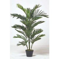 Homescapes Multi Stem Green Palm Tree in Pot, 180 cm