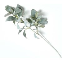 Lambs Ear Foliage 70 cm