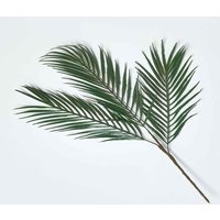 Homescapes Tropical Palm Leaf Single Stem 68 cm in Green