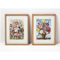Homescapes Original Wall Decoration Botanical Flowers Set of Decorative Frames in Natural