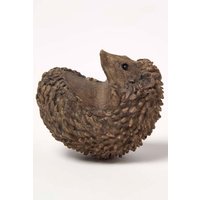 Homescapes Hedgehog Pot Hangers - Pot Decoration in Brown